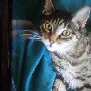 Meet your Posher, Philip